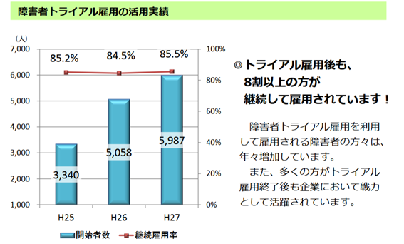 障害者トライアル雇用の活用実績