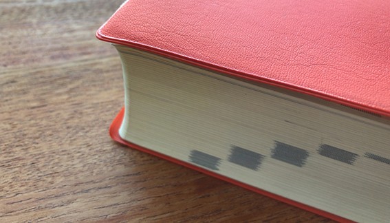 フィードバックの類語・派生語との違い